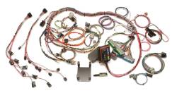 Painless Wiring Fuel Injection Wiring Harness 60221