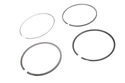 55500618 - Ring Kit