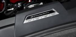 87818056 Engine Specification Plaque for Stingray