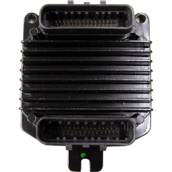 19355811 - RAMJET 350 MEFI 4 Replacement module